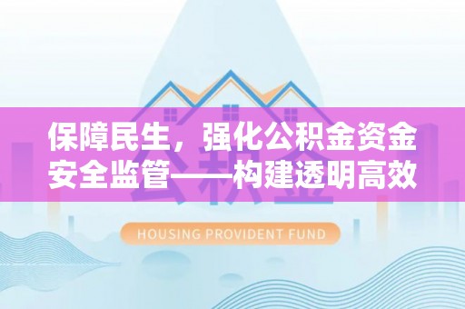 龙州保障民生，强化公积金资金安全监管——构建透明高效的管理体系