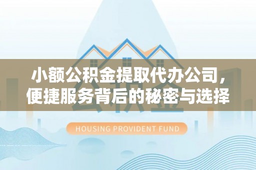 龙州小额公积金提取代办公司，便捷服务背后的秘密与选择指南