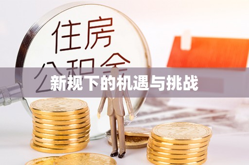 龙州新规下的机遇与挑战