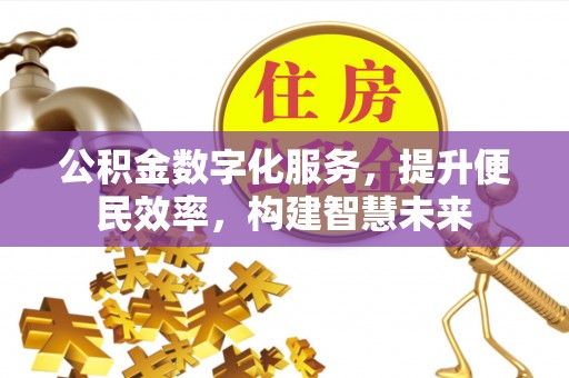 龙州公积金数字化服务，提升便民效率，构建智慧未来