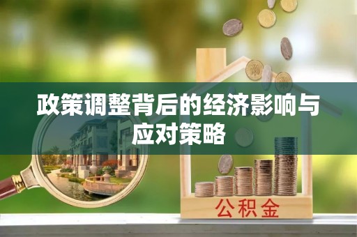 龙州政策调整背后的经济影响与应对策略
