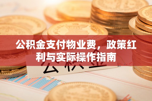 龙州公积金支付物业费，政策红利与实际操作指南