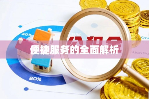 龙州便捷服务的全面解析