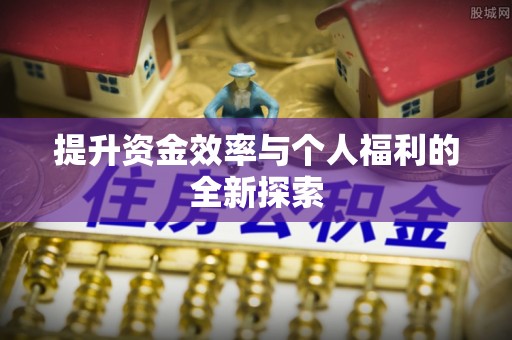 龙州提升资金效率与个人福利的全新探索