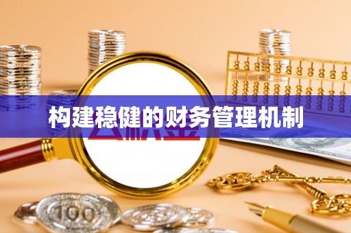 龙州构建稳健的财务管理机制