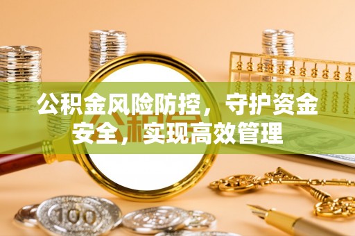 龙州公积金风险防控，守护资金安全，实现高效管理
