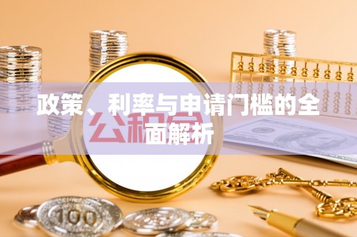 龙州政策、利率与申请门槛的全面解析