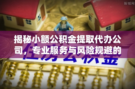 龙州揭秘小额公积金提取代办公司，专业服务与风险规避的平衡艺术