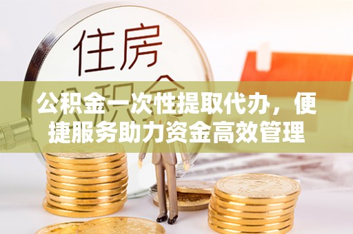 龙州公积金一次性提取代办，便捷服务助力资金高效管理