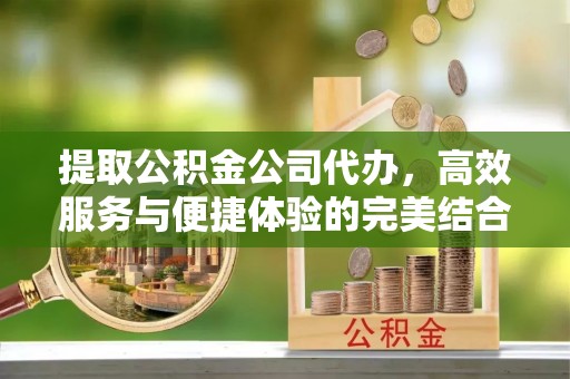 龙州提取公积金公司代办，高效服务与便捷体验的完美结合
