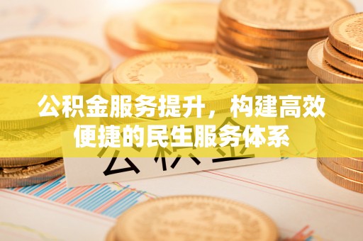 龙州公积金服务提升，构建高效便捷的民生服务体系