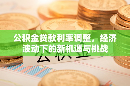 龙州公积金贷款利率调整，经济波动下的新机遇与挑战