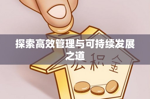 龙州探索高效管理与可持续发展之道