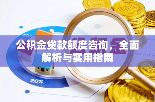 龙州公积金贷款额度咨询，全面解析与实用指南