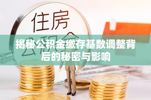 龙州揭秘公积金缴存基数调整背后的秘密与影响