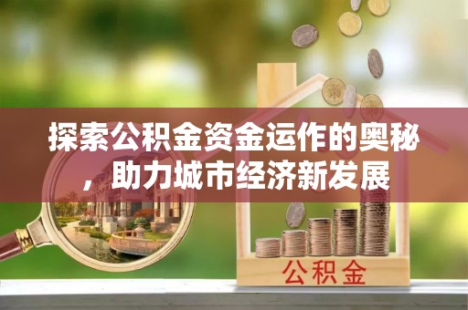 龙州探索公积金资金运作的奥秘，助力城市经济新发展
