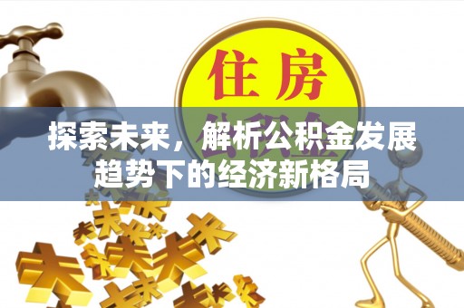 龙州探索未来，解析公积金发展趋势下的经济新格局