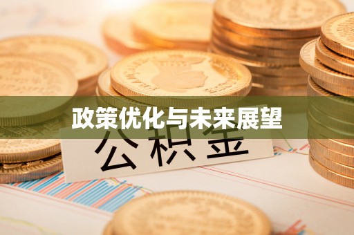 龙州政策优化与未来展望