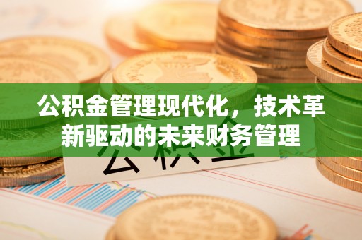 龙州公积金管理现代化，技术革新驱动的未来财务管理