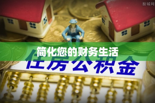 龙州简化您的财务生活