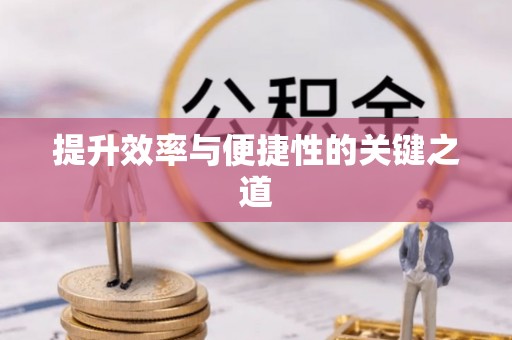 龙州提升效率与便捷性的关键之道