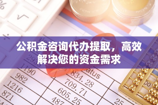 龙州公积金咨询代办提取，高效解决您的资金需求