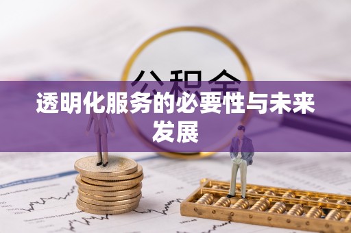 龙州透明化服务的必要性与未来发展
