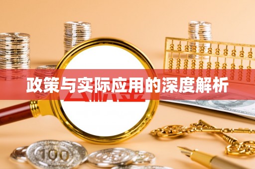 龙州政策与实际应用的深度解析