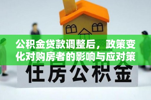 龙州公积金贷款调整后，政策变化对购房者的影响与应对策略