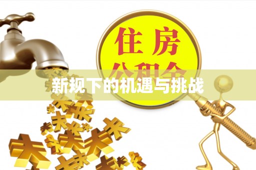 龙州新规下的机遇与挑战