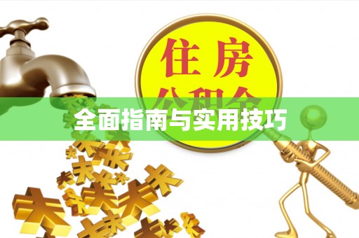 龙州全面指南与实用技巧