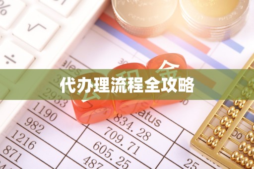 龙州代办理流程全攻略