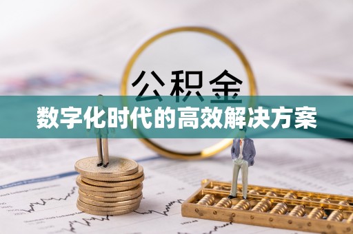 龙州数字化时代的高效解决方案