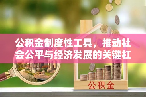 龙州公积金制度性工具，推动社会公平与经济发展的关键杠杆