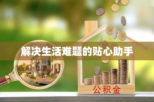 龙州解决生活难题的贴心助手