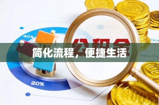 龙州简化流程，便捷生活