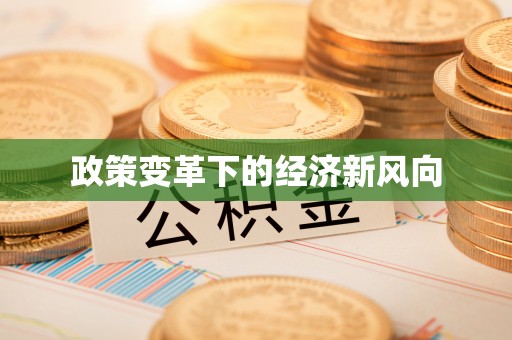 龙州政策变革下的经济新风向