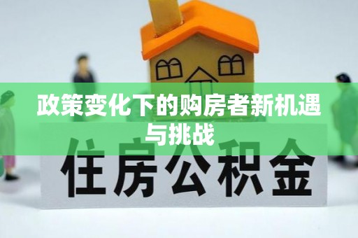 龙州政策变化下的购房者新机遇与挑战