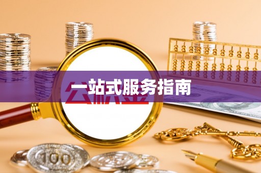 龙州一站式服务指南