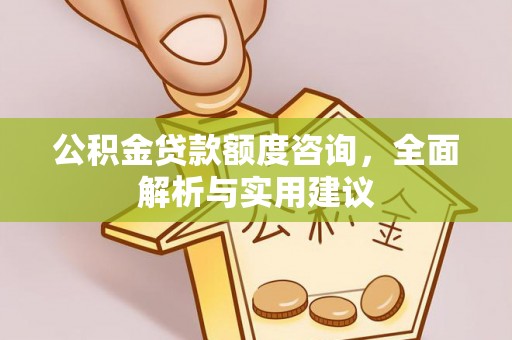 龙州公积金贷款额度咨询，全面解析与实用建议