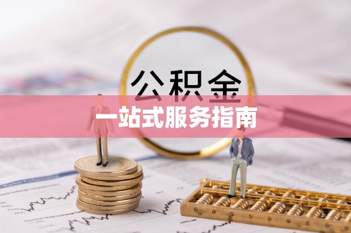 龙州一站式服务指南