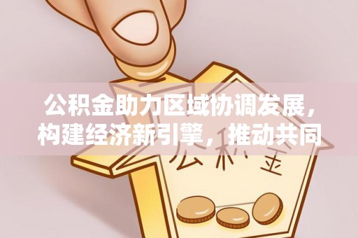 龙州公积金助力区域协调发展，构建经济新引擎，推动共同富裕