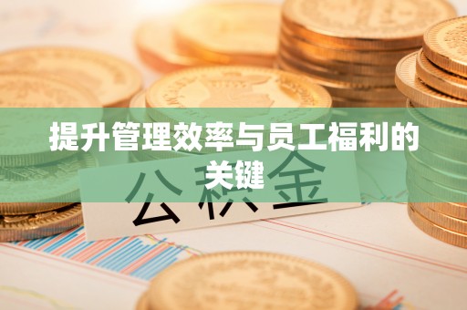龙州提升管理效率与员工福利的关键