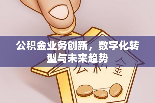 龙州公积金业务创新，数字化转型与未来趋势