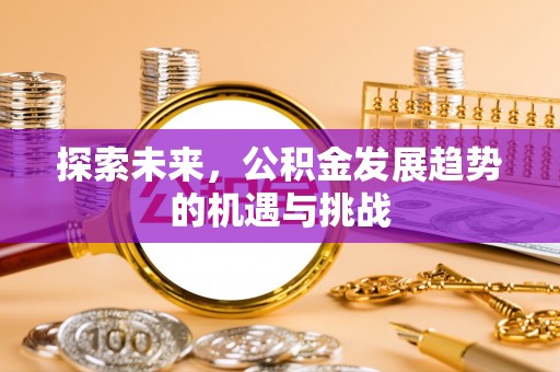 龙州探索未来，公积金发展趋势的机遇与挑战