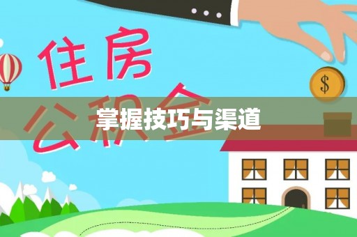 龙州掌握技巧与渠道