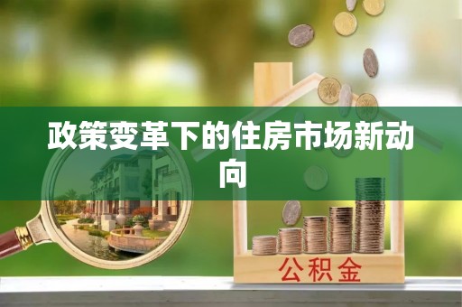 龙州政策变革下的住房市场新动向