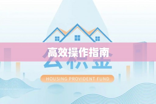 龙州高效操作指南