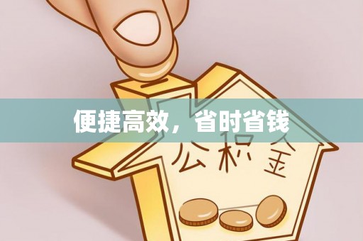 龙州便捷高效，省时省钱