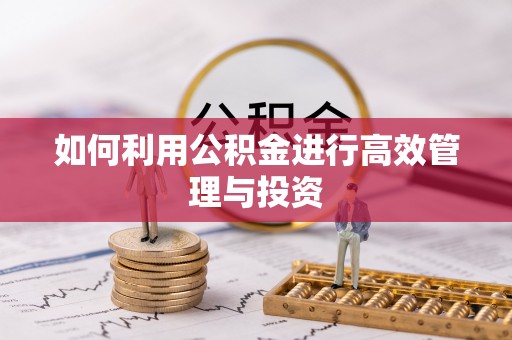 龙州如何利用公积金进行高效管理与投资